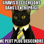 Les échelons