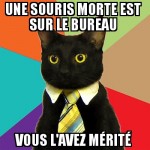 Souris morte
