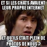 Les chats dans un univers parallèle