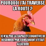 Pourquoi le poulet a-t-il traversé la route ?