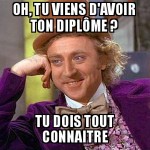 Après les études bis