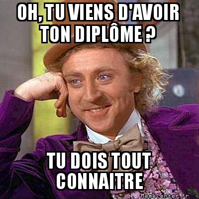 Après les études bis