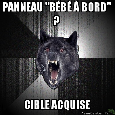 Bébé à bord