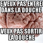 Douche ou pas douche