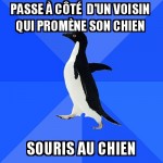 Salut le chien