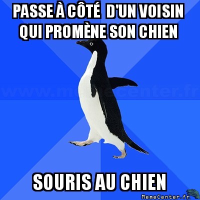 Salut le chien