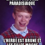 Dans un paradis