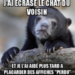 Oups le chat