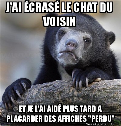 Oups le chat