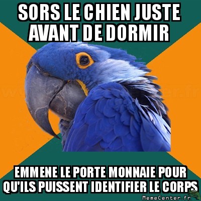 Quand je sors le chien