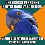 Un gros dans l'ascenseur