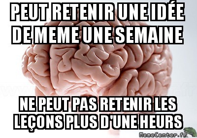 Priorité ? Bitche Please !