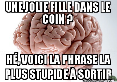 Connerie à raconter