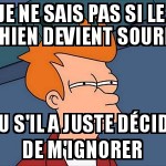 Hého le chien