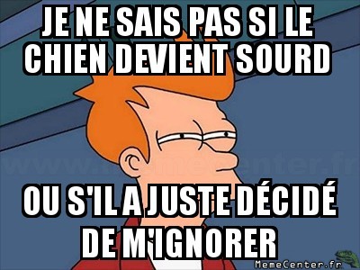 Hého le chien
