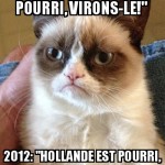 Electeur français moyen
