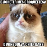 T'as oublié mes croquettes? Tu vas voir