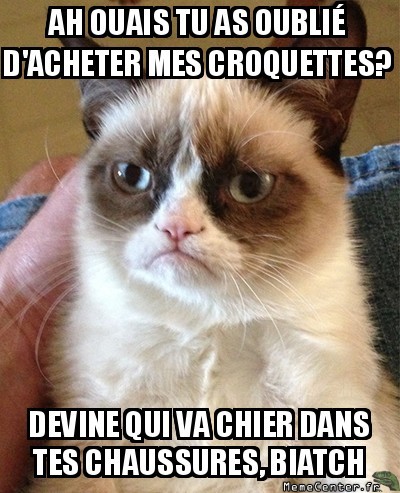 T'as oublié mes croquettes? Tu vas voir