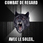 Combat de regard