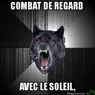 Combat de regard