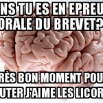 Exam