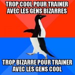 Dans quel groupe ?
