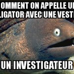 Alligator à veste