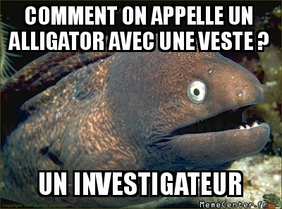 Alligator à veste