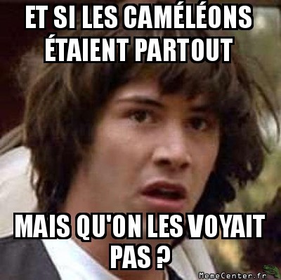 Une invasion