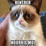 Cat's logique