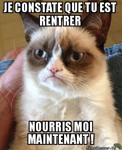 Cat's logique
