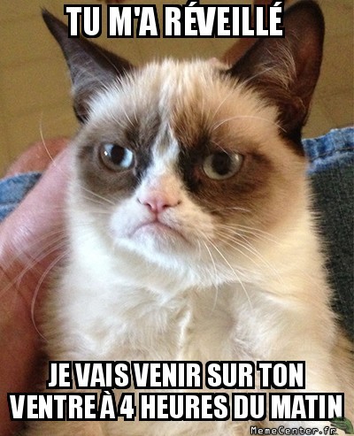 Le sommeil