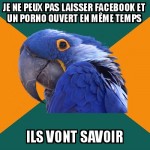 Avec le site porno