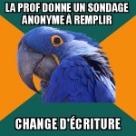 Un sondage