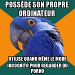 Porno parano
