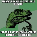 Pauvre cerveau...