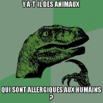Allergies ?