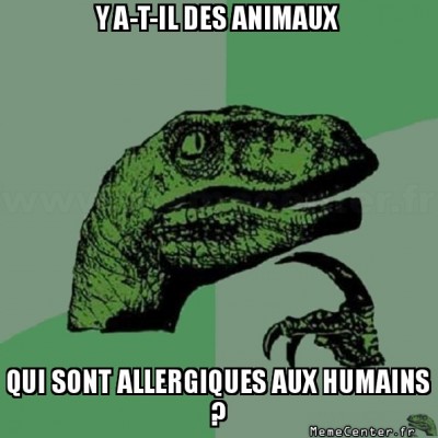 Allergies ?
