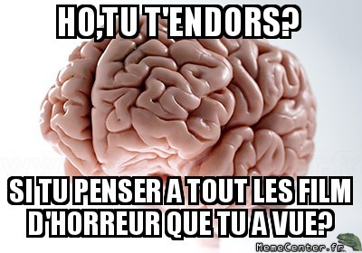 Pourquoi,cerveau,pourquoi?