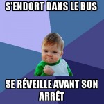 Dodo dans le bus