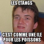 Ile pour poisson