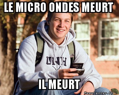 Sans micro ondes