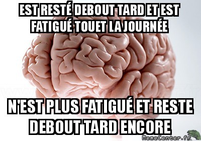 Pourquoi cerveau, pourquoi ?