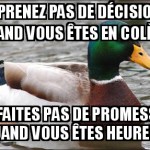Pour ne pas faire de bêtises