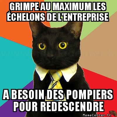 Comme tout chat