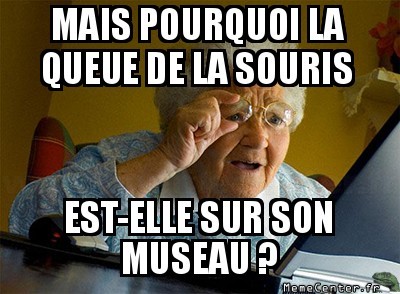 Souris