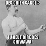 Des chien de garde ?
