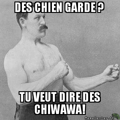 des chien de garde ?