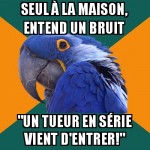 Seul chez soi