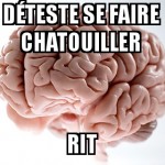 Chatouillages